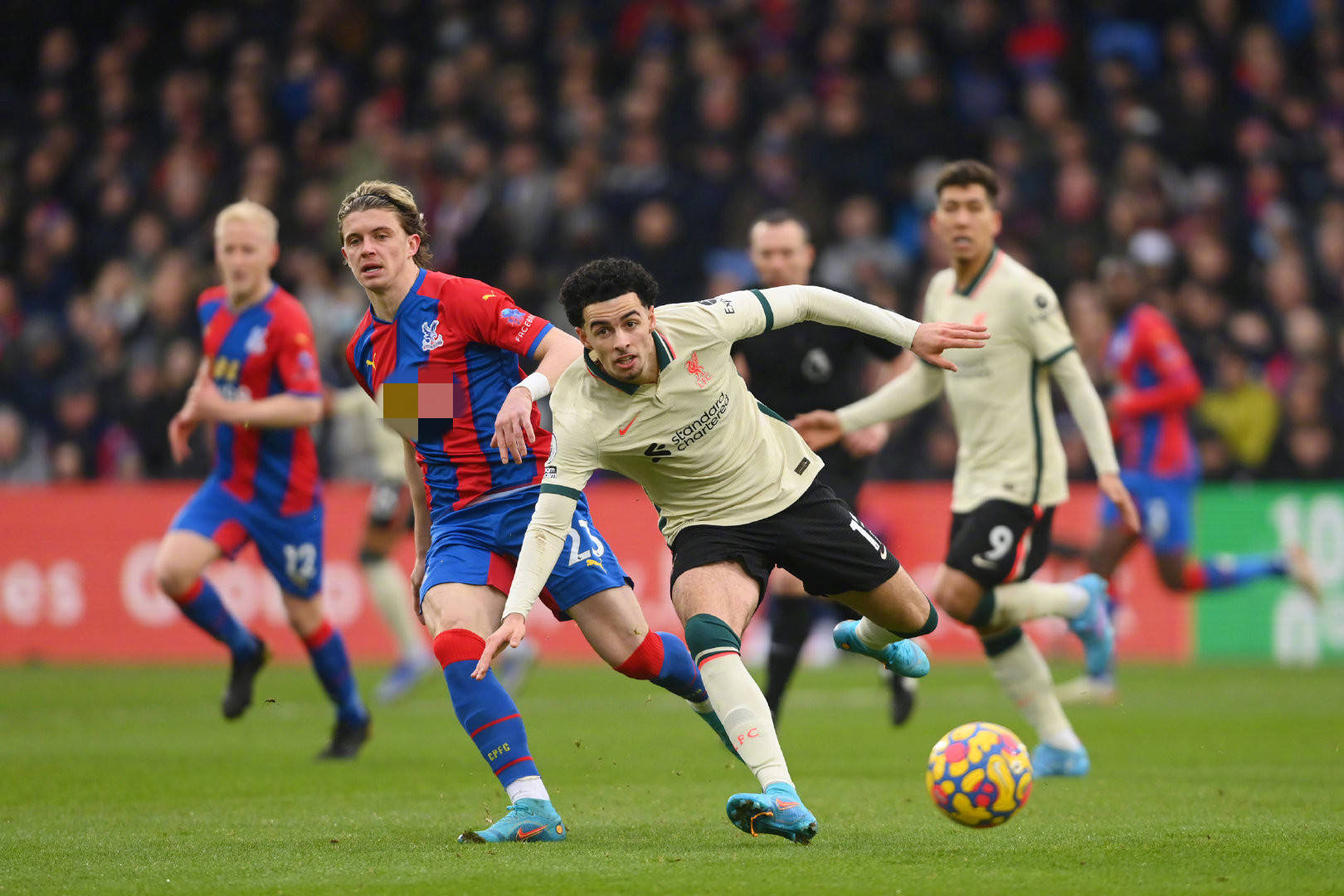 还展示了他 还展示了他